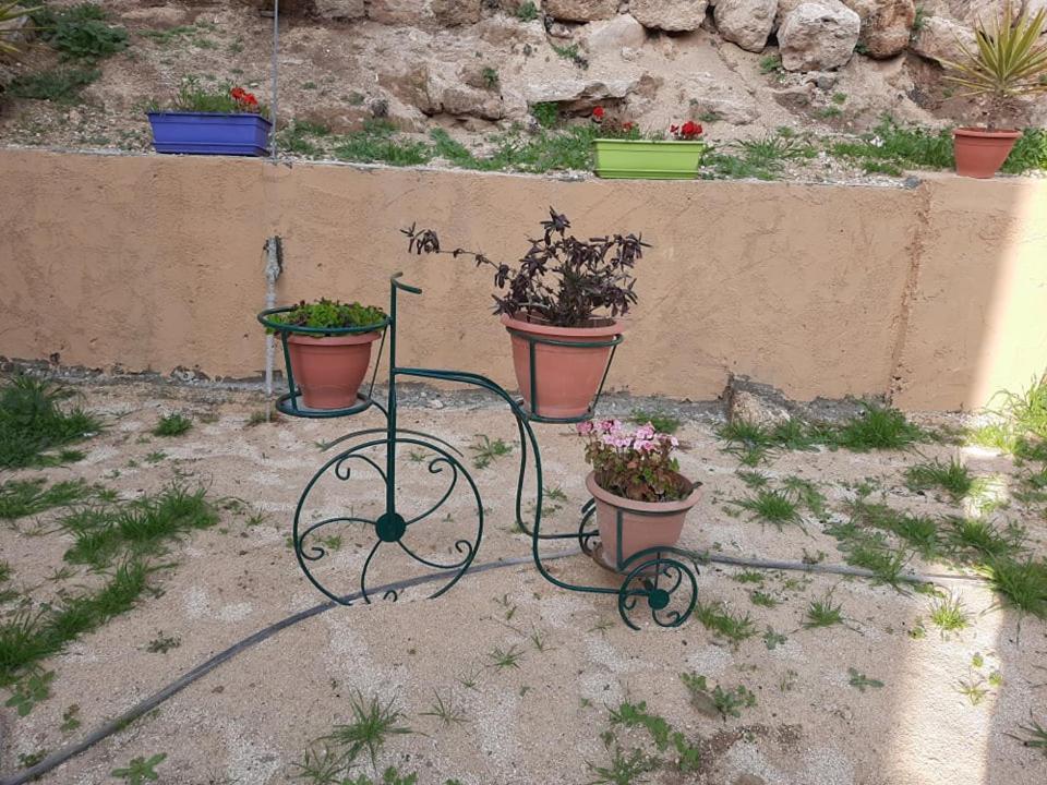 Emile Altwal Madaba Apartment Екстериор снимка