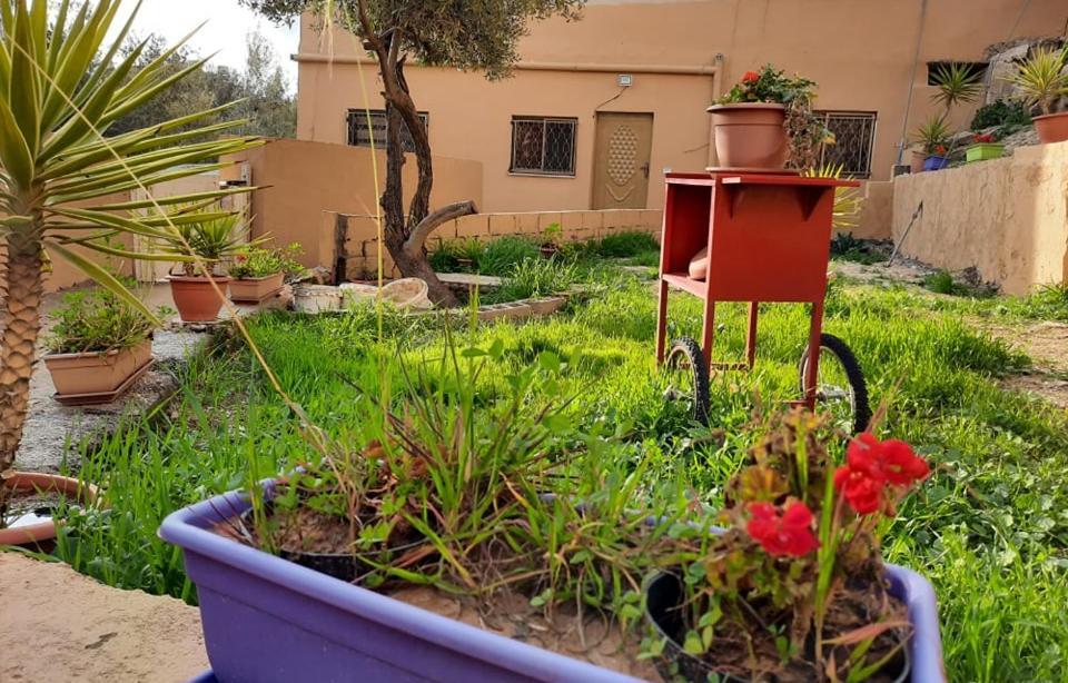Emile Altwal Madaba Apartment Екстериор снимка